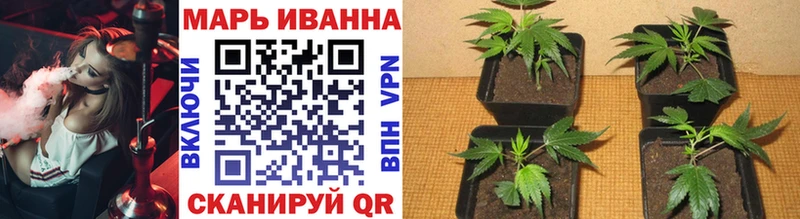 Наркошоп купить Бошки Шишки  Меф  Cocaine  Alpha PVP  АМФ  ГАШ  Суворов