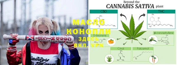 соль ск Волосово