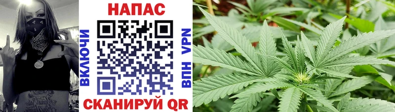 Конопля VHQ  Купить  Суворов 